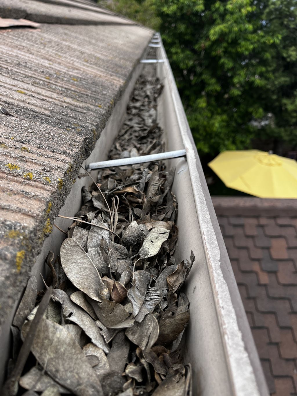 Gutter Cleaning and Maintenance