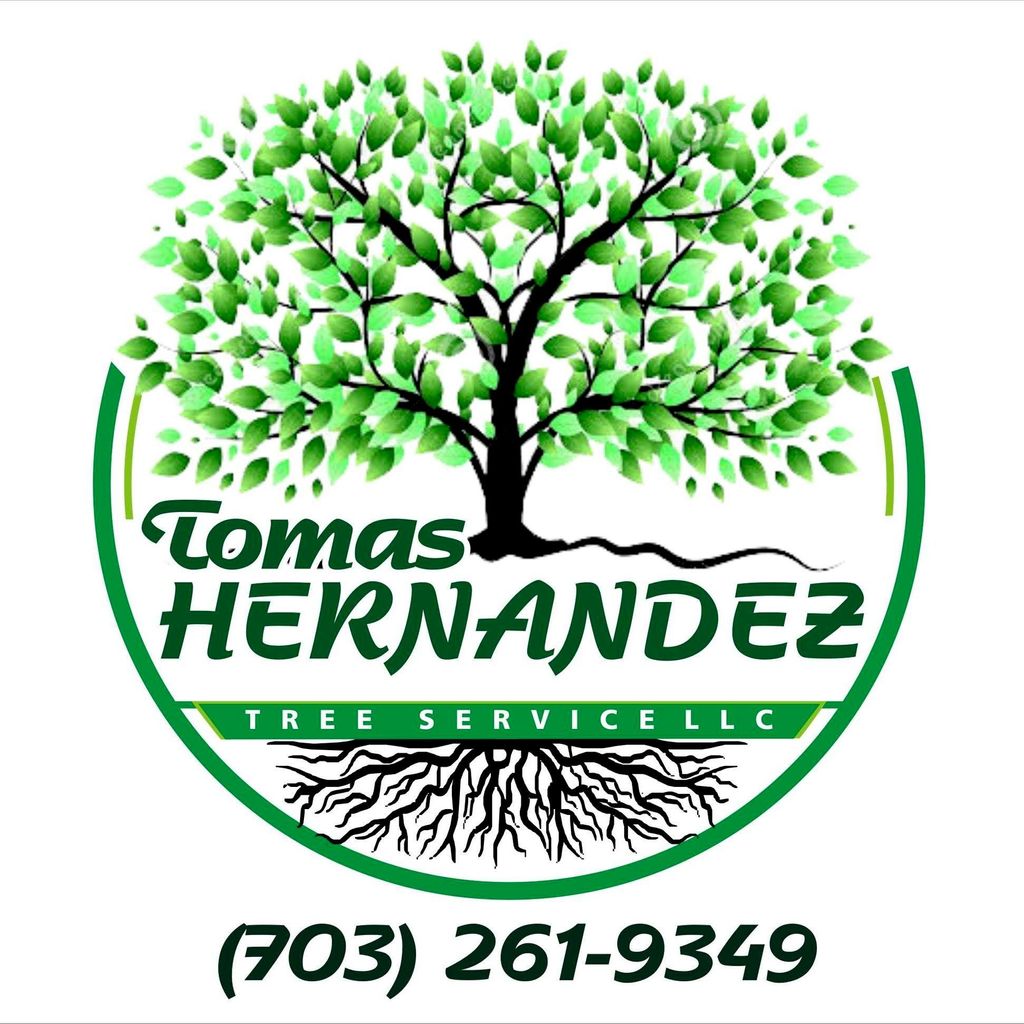 Tomas Hernandez Tree Services