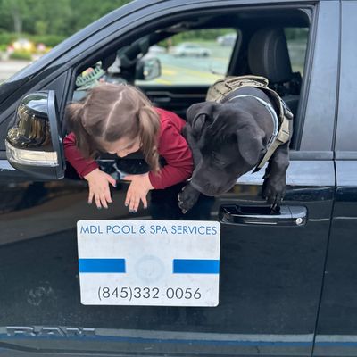 Avatar for MDL POOL & SPA SERVICES LLC