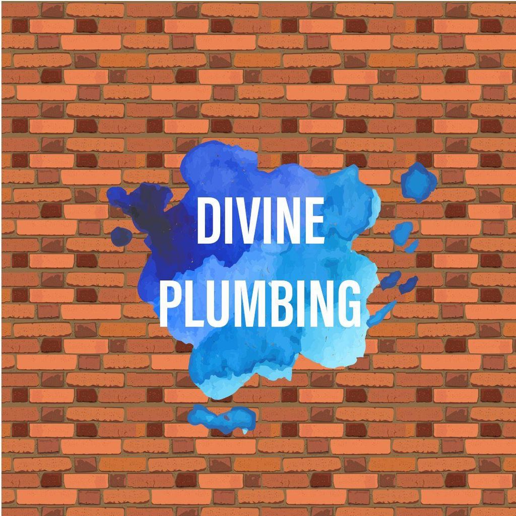 Divine Plumbing Service