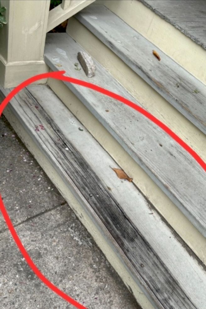 Deck or Porch Repair