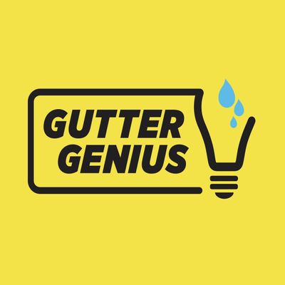 Avatar for Gutter Genius