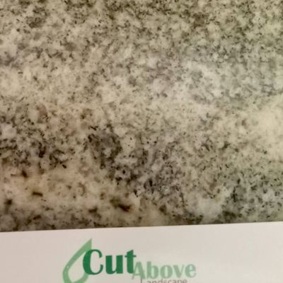 Avatar for A Cut Above Landscape by Jorge Reyes