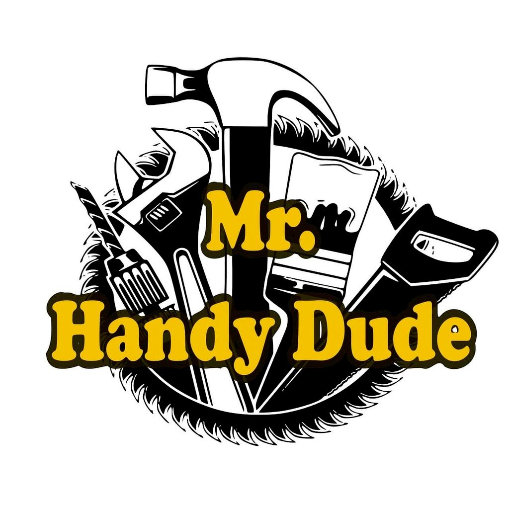 Mr. Handy Dude