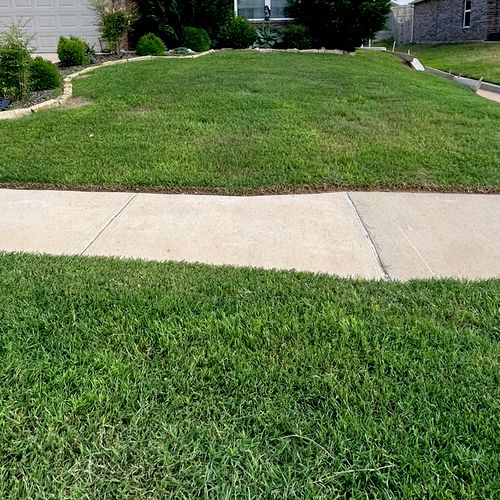 Lawn God LLC do great work. They both are very pro