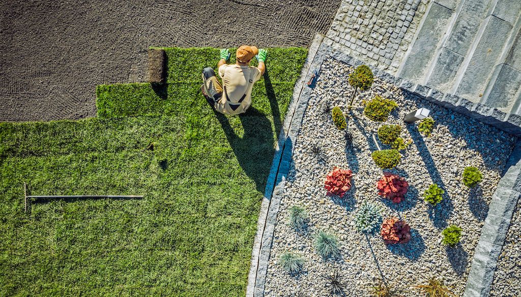 landscaper laying sod in large yard