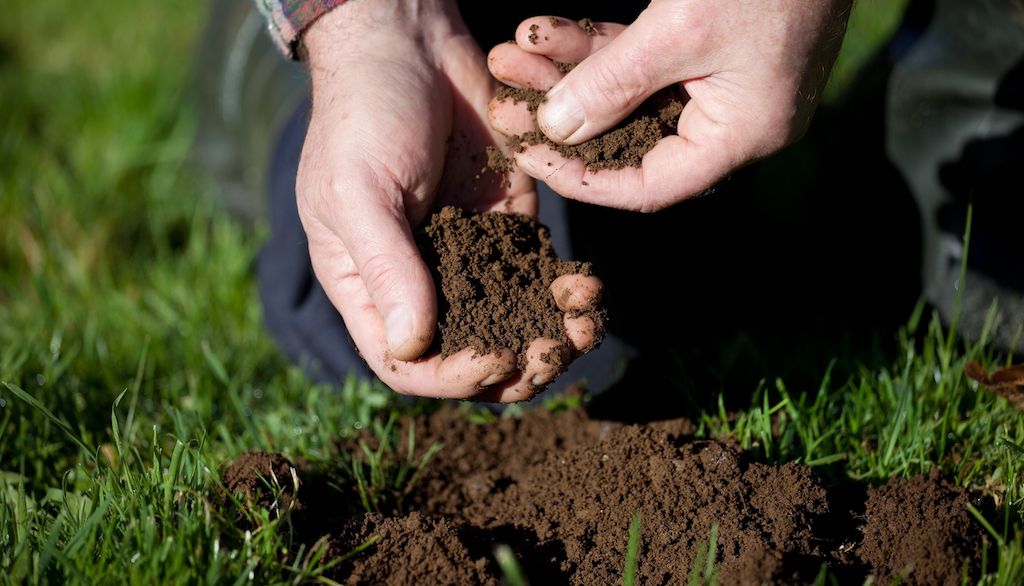 man holding and testing soil in grass