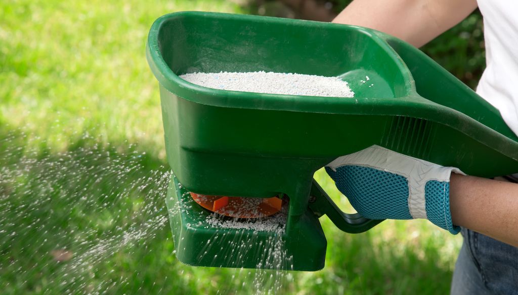 person manually fertilizing their lawn