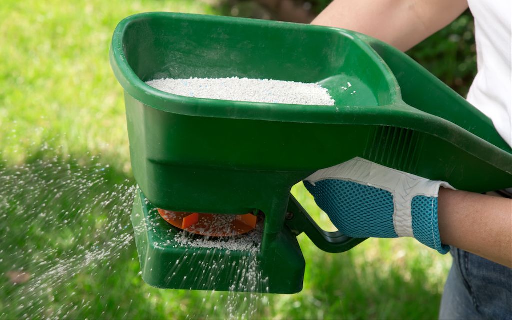 Lawn fertilization basics: How to fertilize your lawn like a pro.