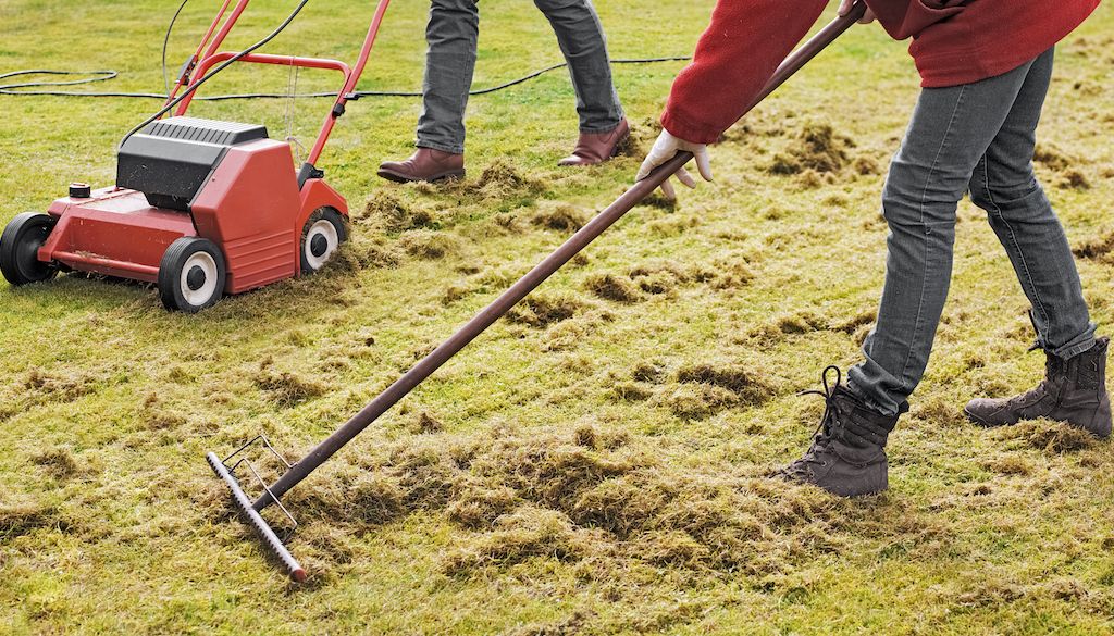 man raking up thatch after dethatching the lawn