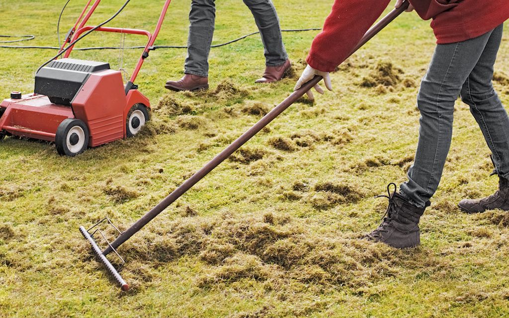 Dethatching your lawn: when, how and why you should.