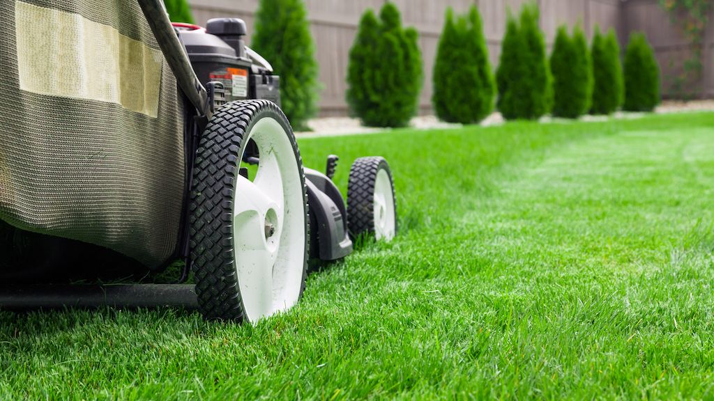 mowing the lawn with mower