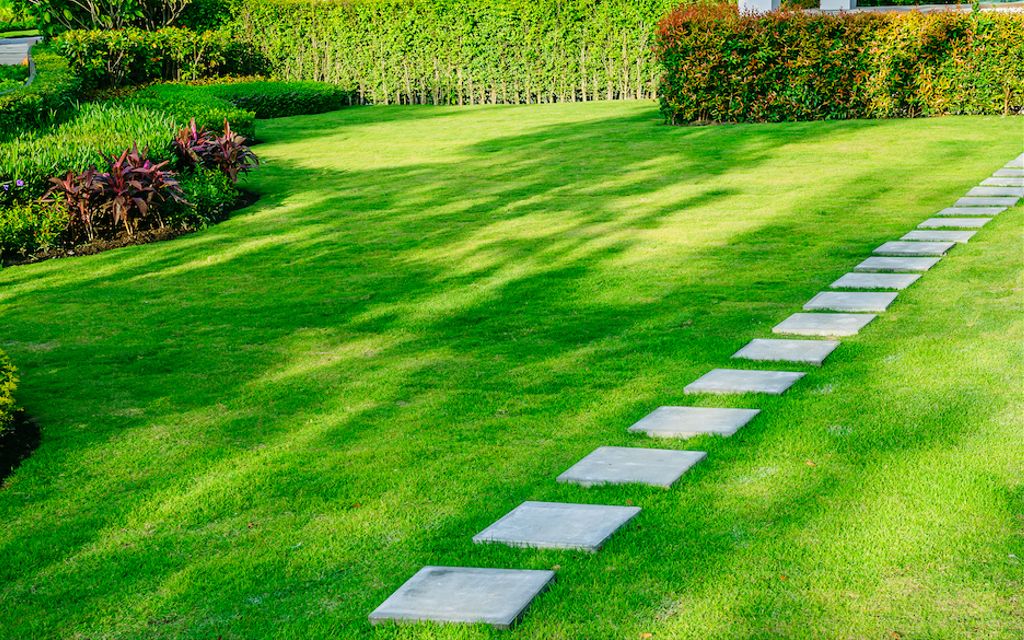 11 lawn care tips for beginners.