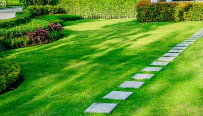 Lawn Care 101 | 11 Lawn Care Tips & Advice for Beginners