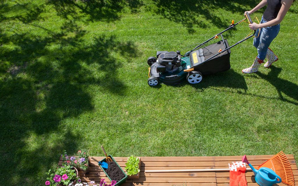 Lawn mowing 101: How to mow your lawn.