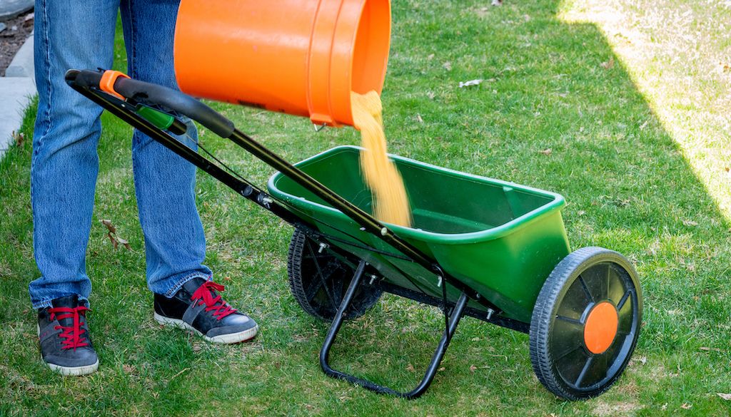 man filling drop spreader with grass fertilizer