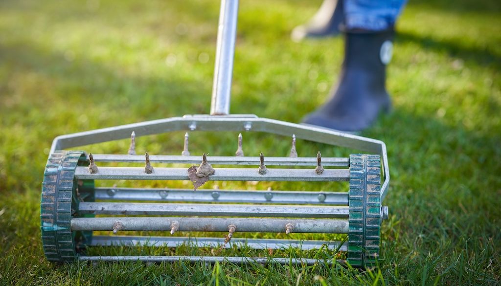 aerating the lawn with a rake