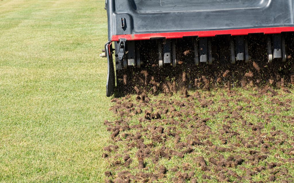 Lawn aeration 101: How to aerate your lawn.