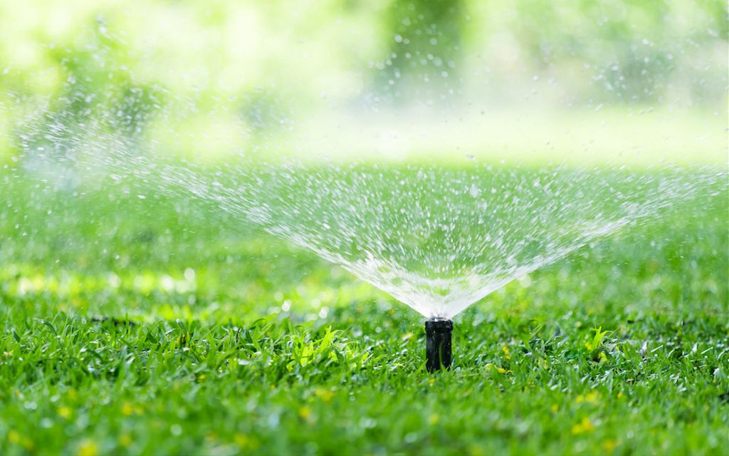 How long should you water your lawn?