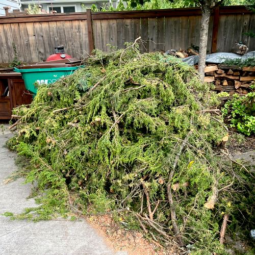 Did an excellent job picking up tree trimmings in 