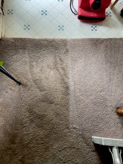 My carpet went several years without cleaning.  AL