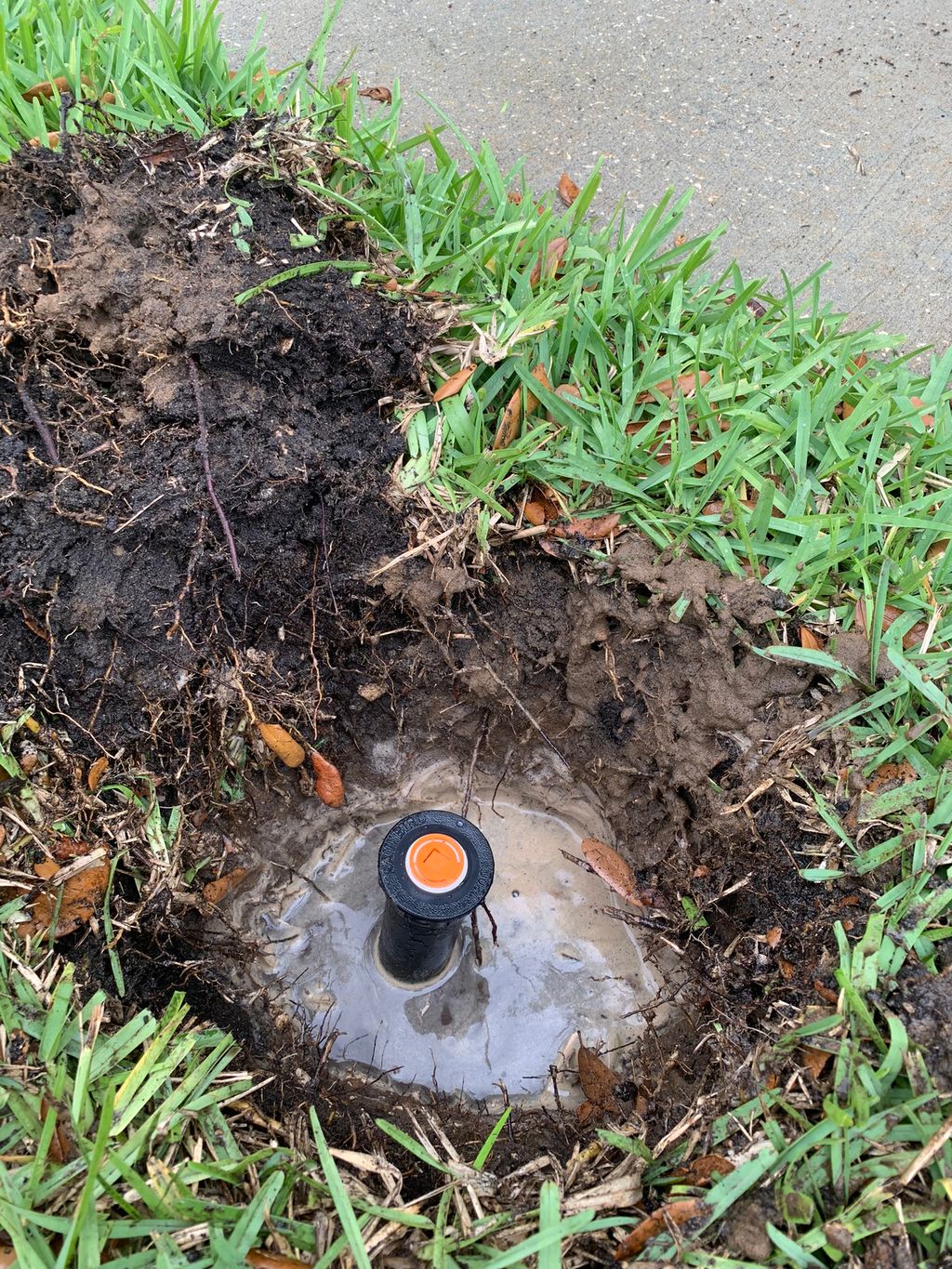 Sprinkler and Irrigation System Repair and Maintenance