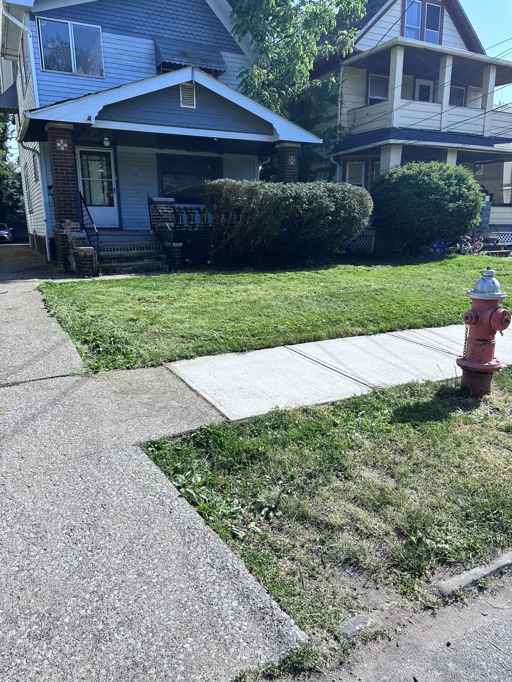 Shrub Trimming and Removal