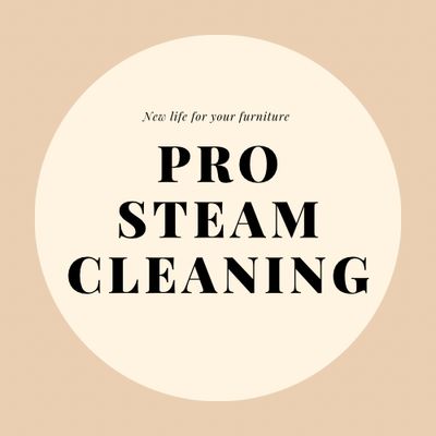 Avatar for PRO STEAM CLEANING