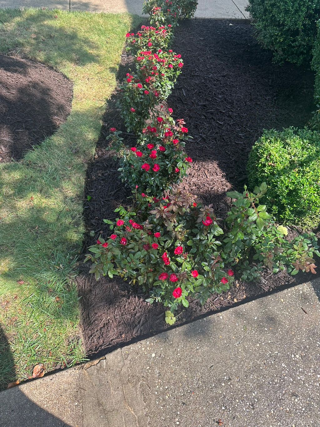 Customer photos