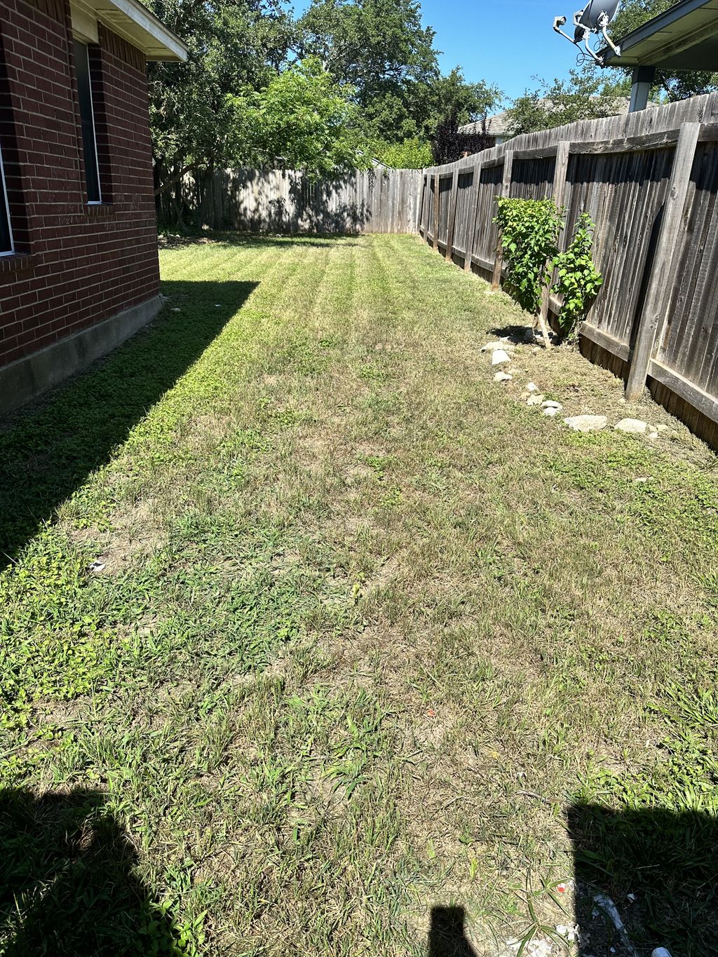 Lawn Mowing and Trimming