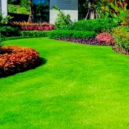 Uneek Lawncare & Auto Detail Service
