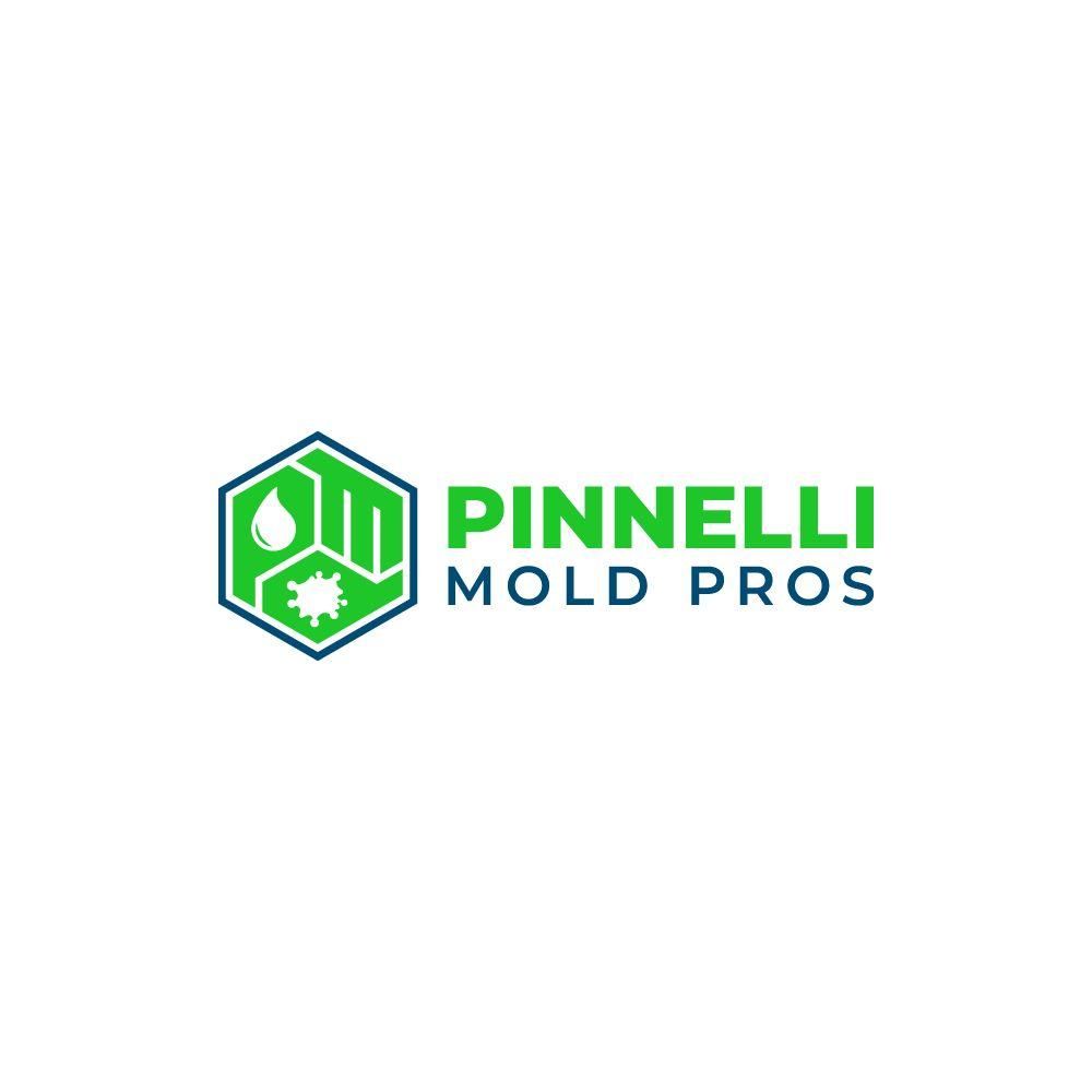 Pinnelli Mold Pros