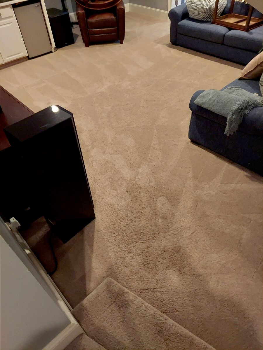 Carpet Cleaning 