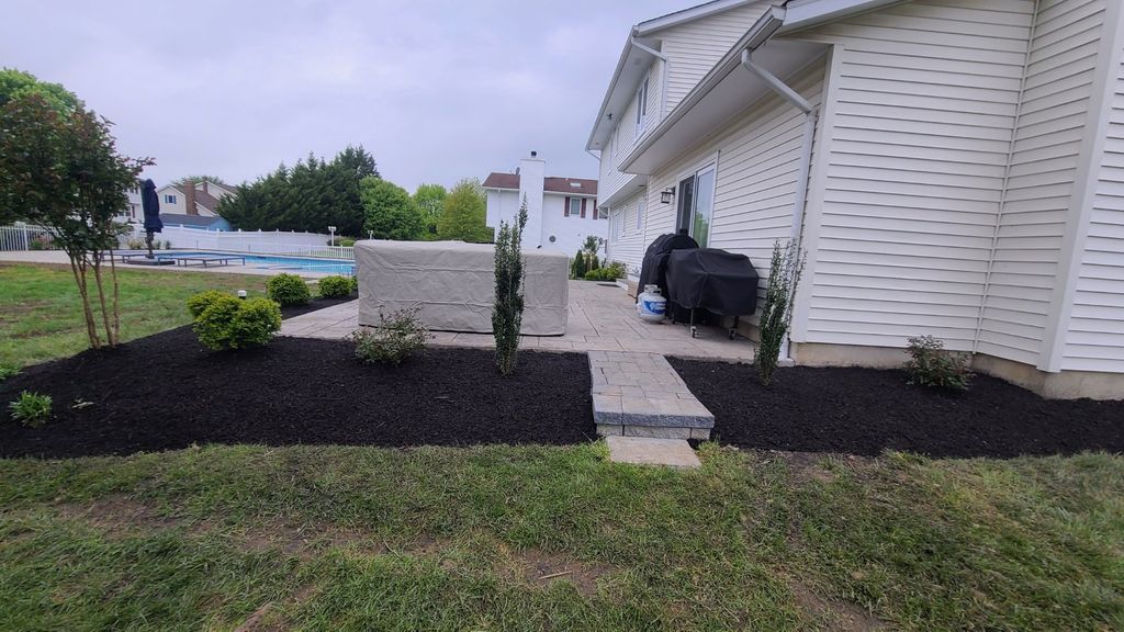 Full patio planting a great mix of evergreen and f
