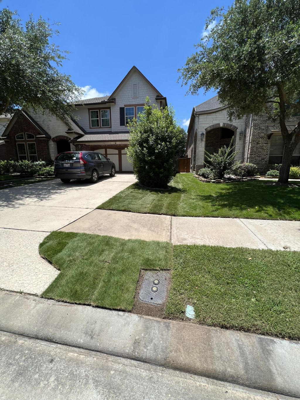 Sod Installation