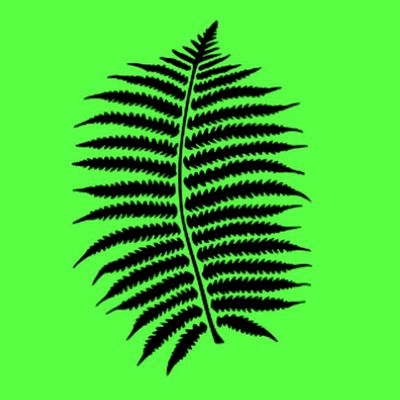 Avatar for Turners Outdoor Service L.L.C