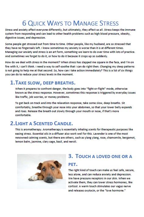 Example Blog Article Page 1
