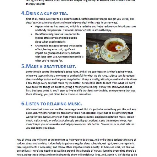 Example Blog Article Page 2