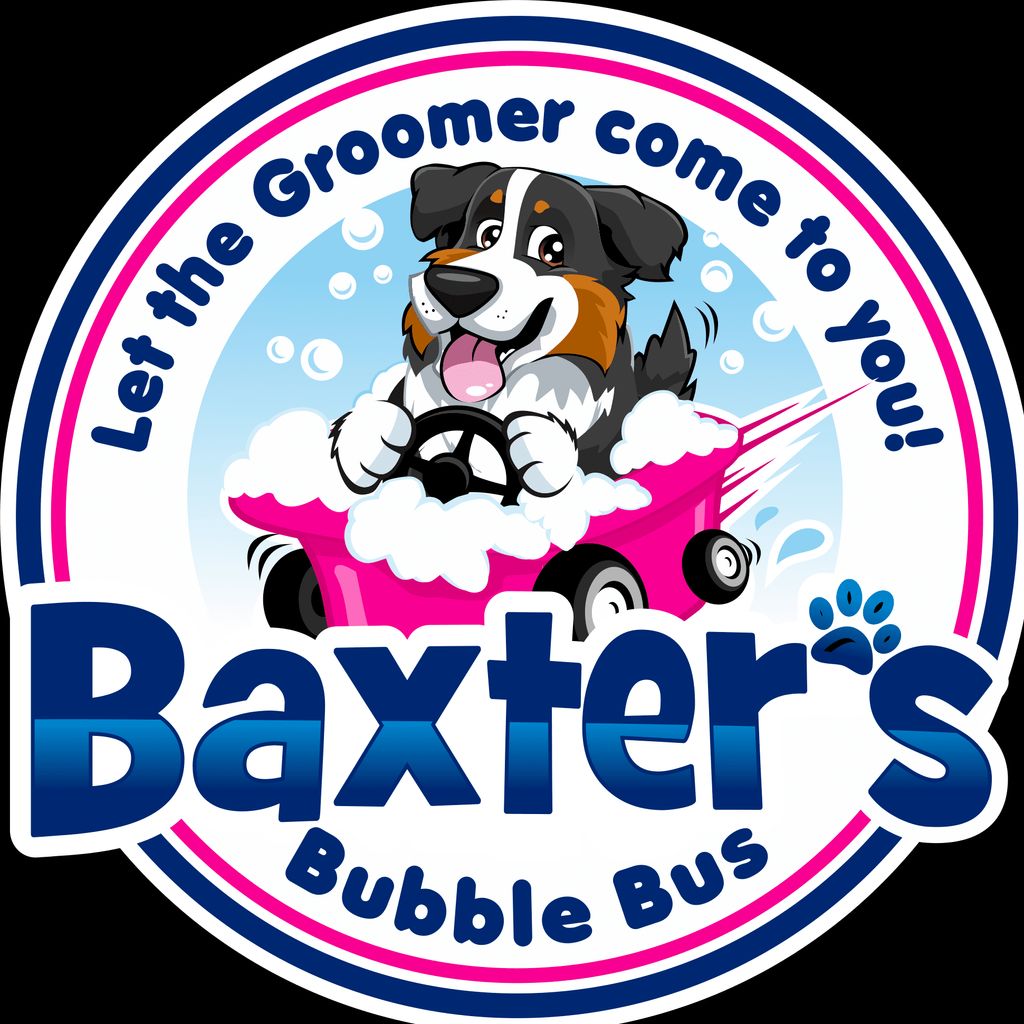 Baxter's Bubble Bus
