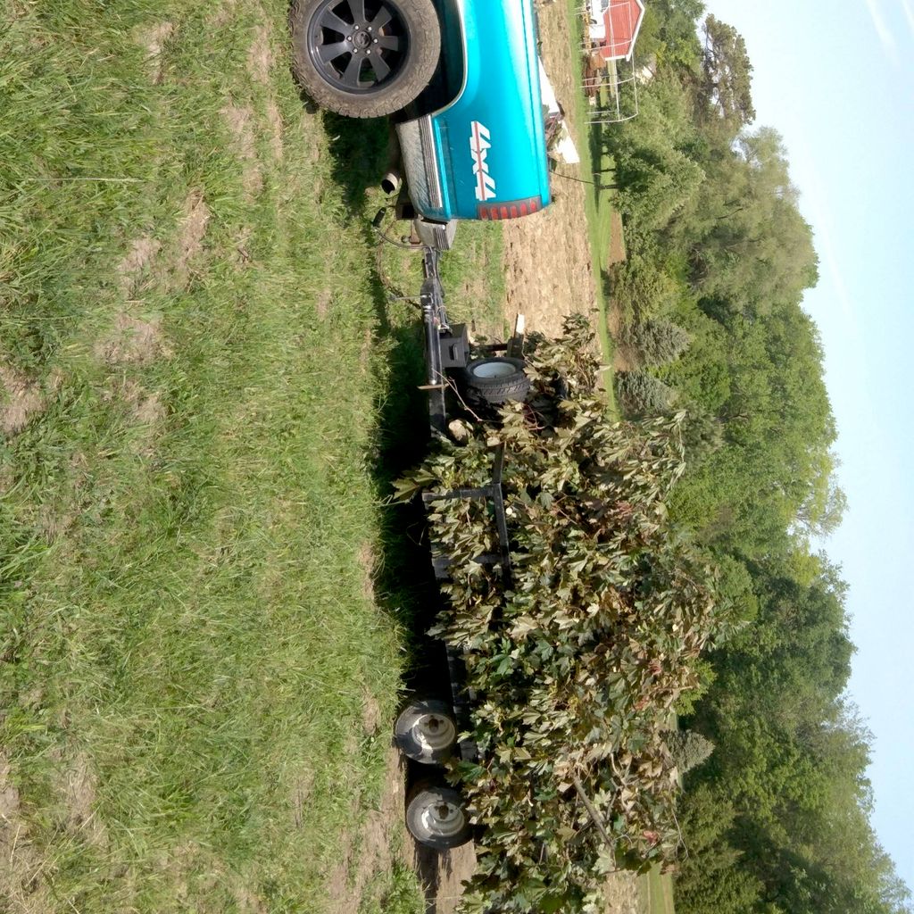 SF CONTRACTING
