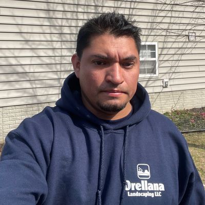 Avatar for Orellana Landscaping LLC