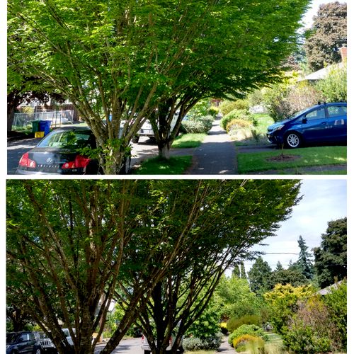 Before and After: Lift and Sidewalk Clearance with