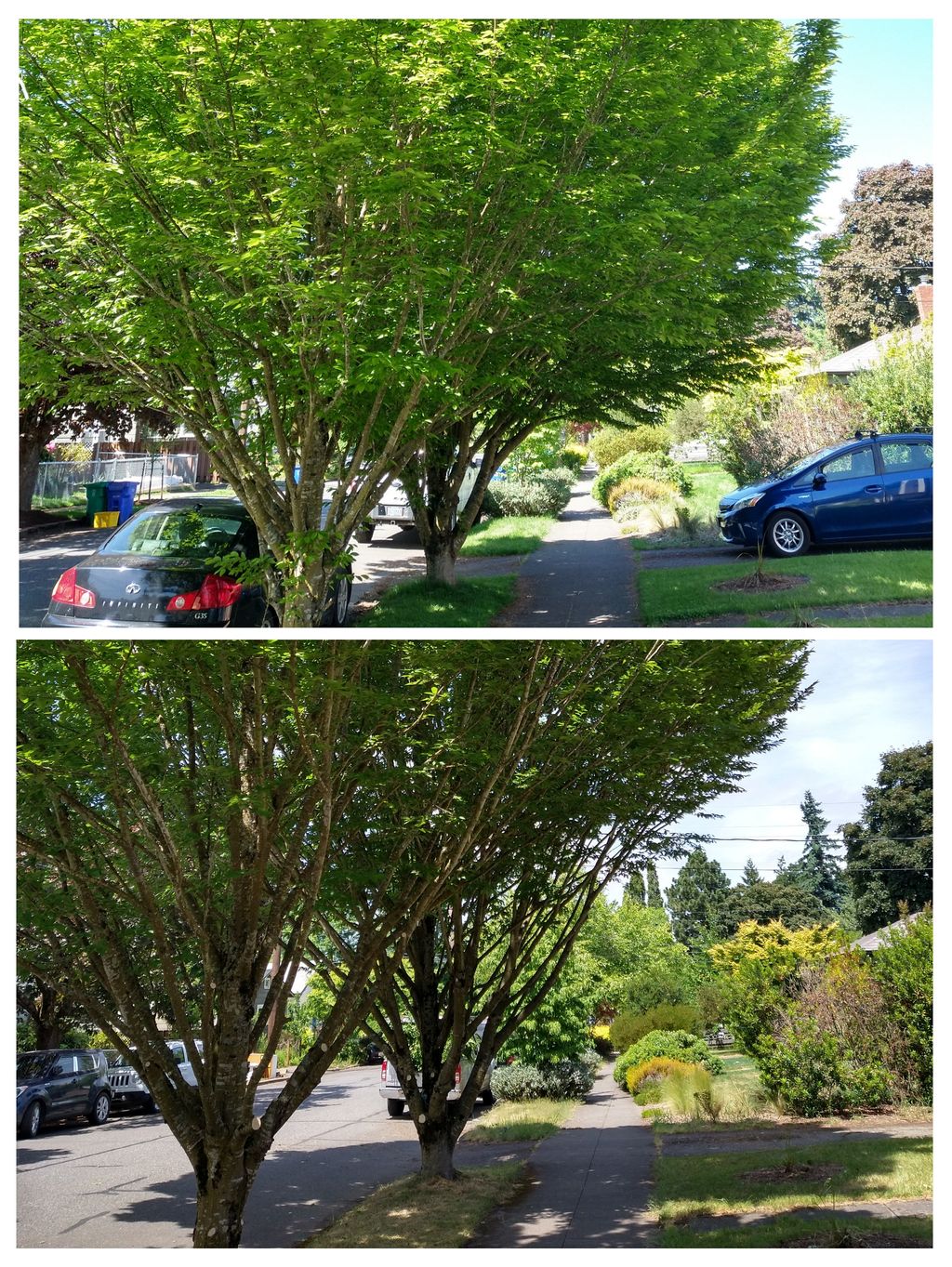 Before and After: Lift and Sidewalk Clearance with