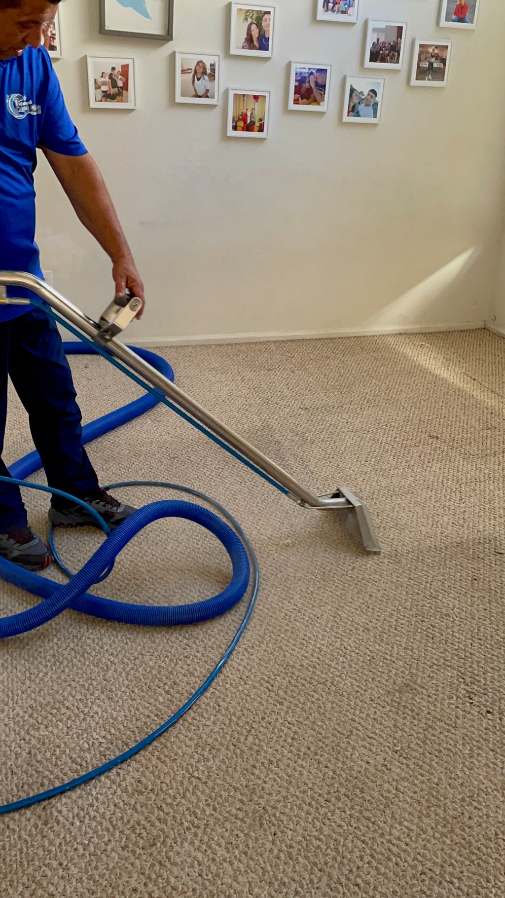 Carpet Cleaning