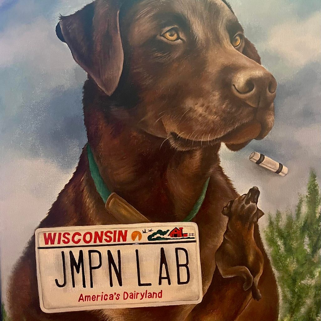 Jumpnlab Pet Care Services