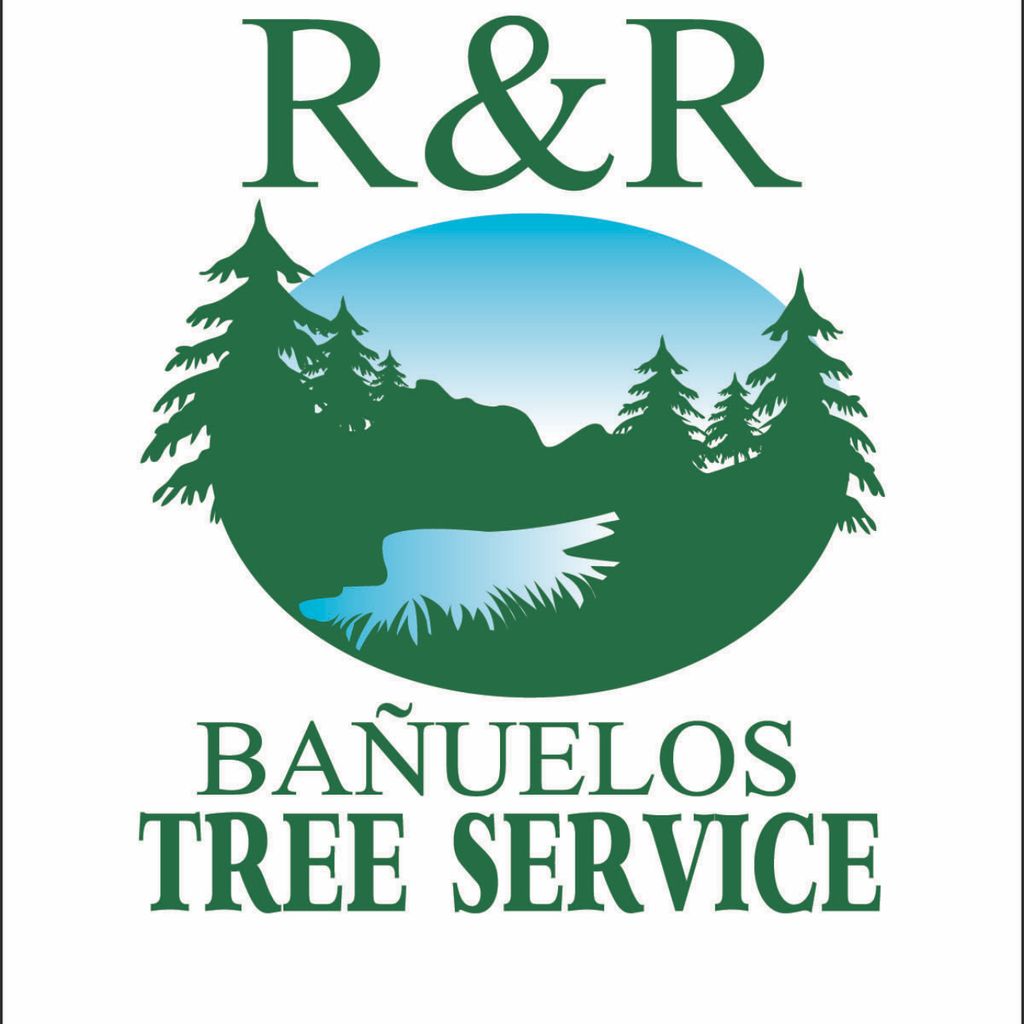 R&R Banuelos tree service