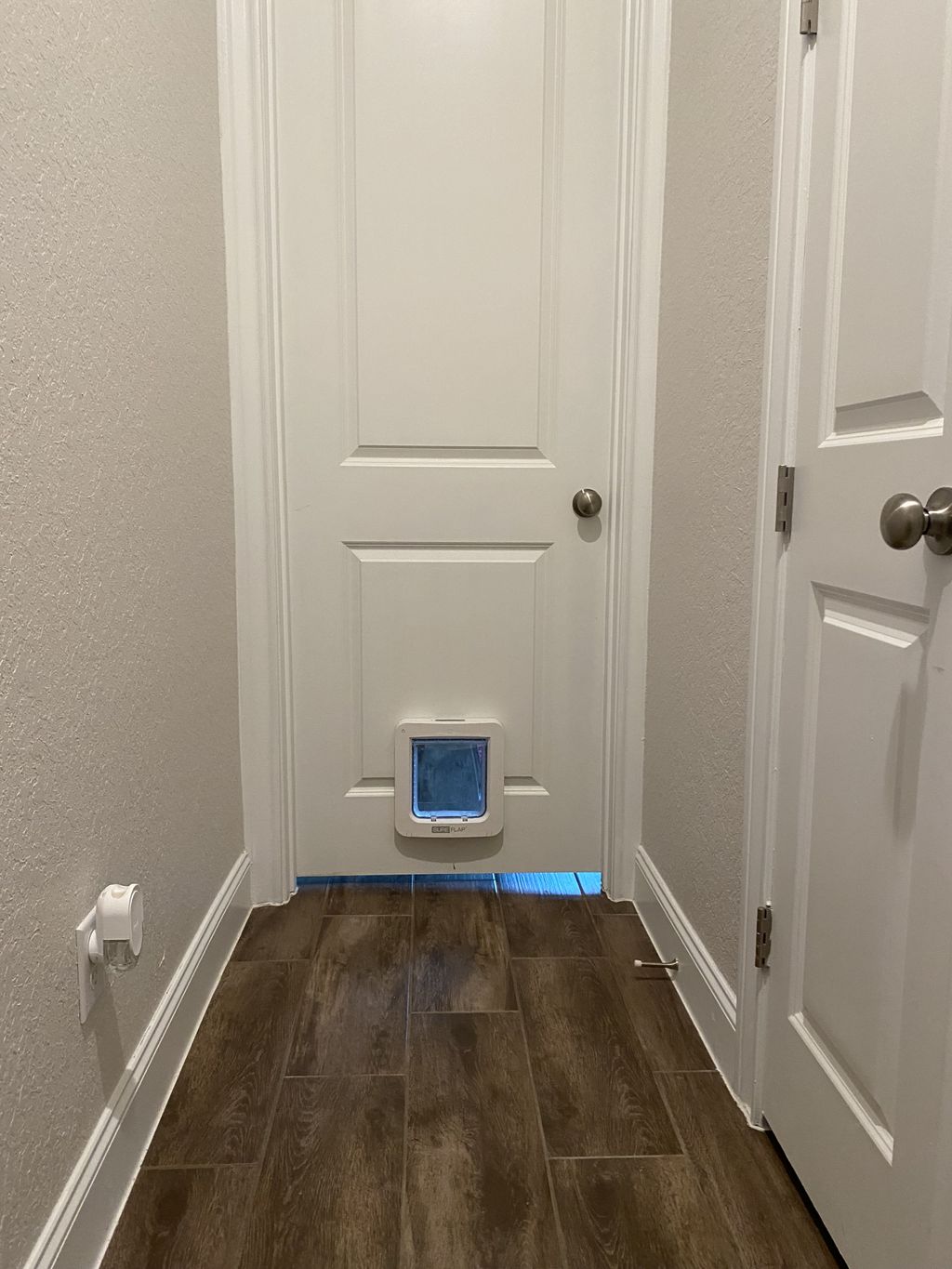 Pet-Access Door (After)