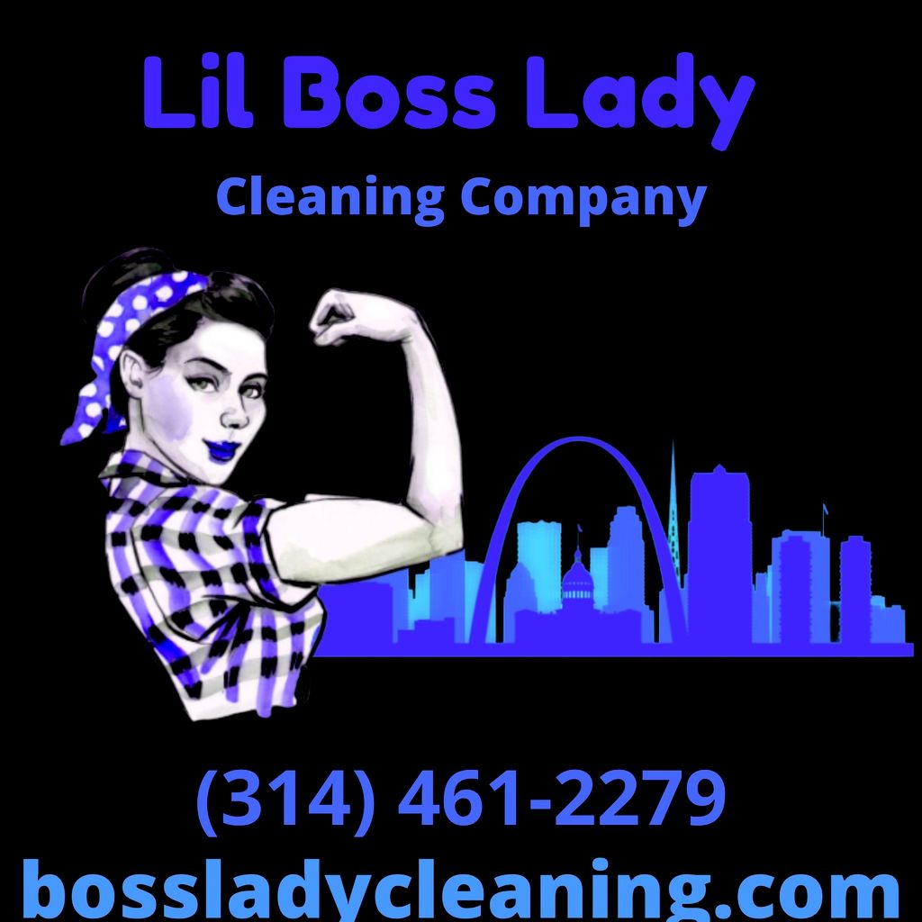 Lil Boss Lady Cleaning