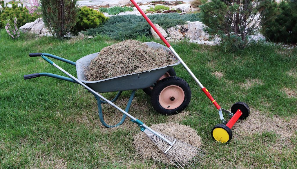 lawn thatch in wheelbarrow