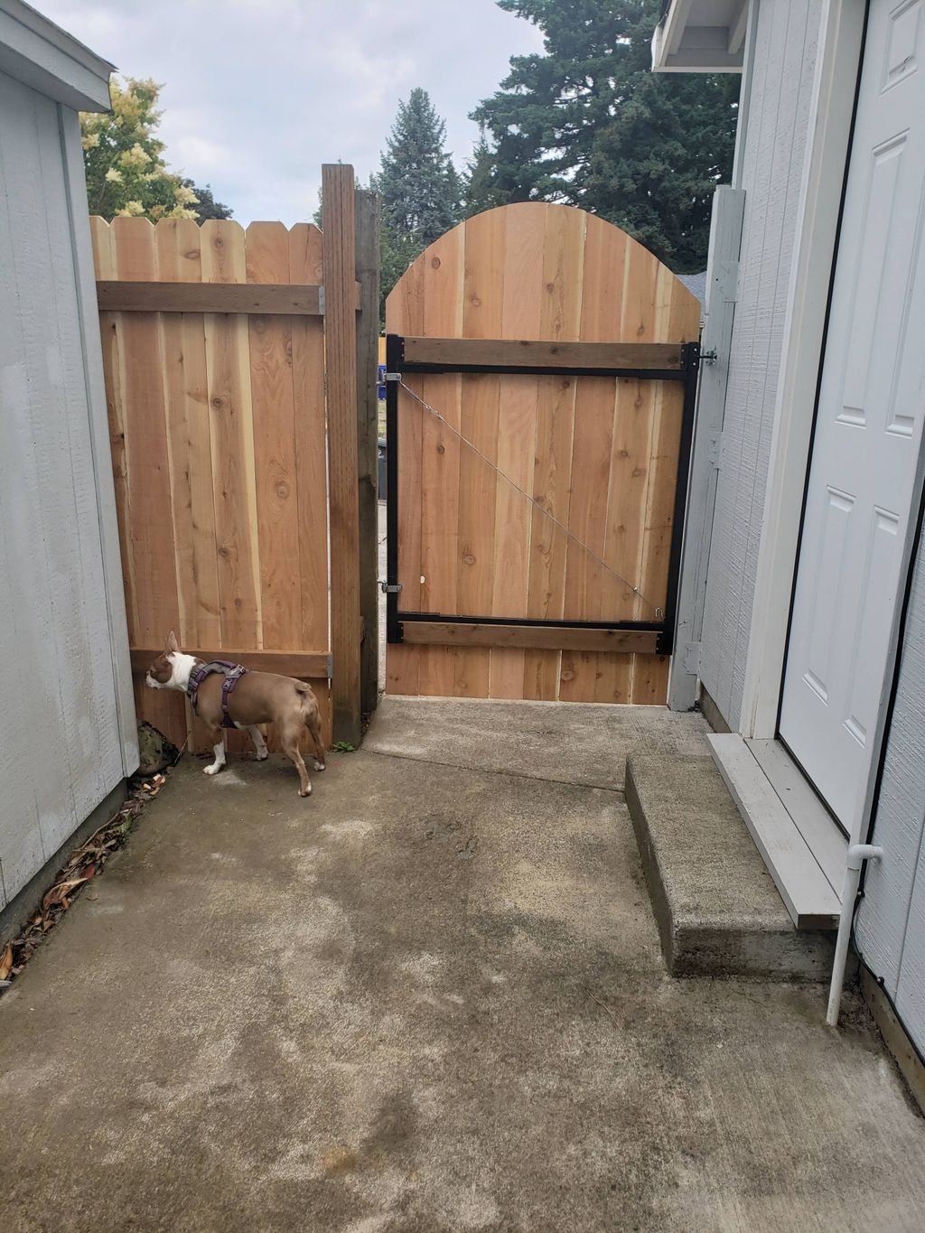 Customer photos